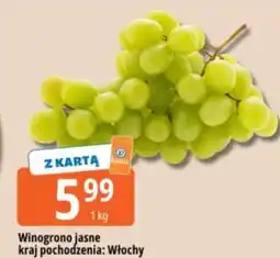 E.Leclerc Winogrono jasne oferta