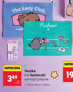 Biedronka Teczka lub karteczki oferta