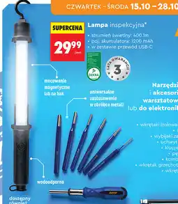 Biedronka Lampa oferta