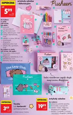 Biedronka Artykuły szkolne i dekoracyjne Pusheen oferta