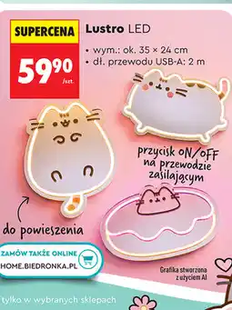 Biedronka Lustro LED Pusheen oferta