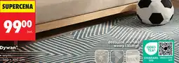 Biedronka Dywan Smukee 160 x 120 cm oferta