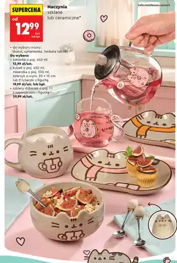 Biedronka Naczynia szklane lub ceramiczne oferta