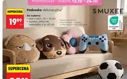 Biedronka Poduszka dekoracyjna Smukee oferta