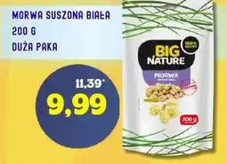 Hale Banacha Big Nature Morwa Suszona Biała oferta