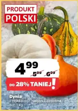 Netto Dynia > Hokkaido > Nelson > ozdobna oferta