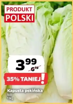 Netto Kapusta pekińska oferta