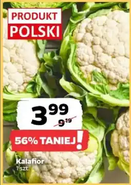 Netto Kalafior oferta