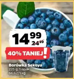 Netto Borówka Sekoya oferta