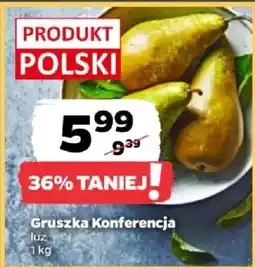 Netto Gruszka Konferencja oferta