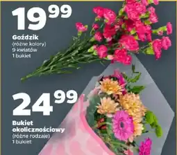 Netto Goździk oferta