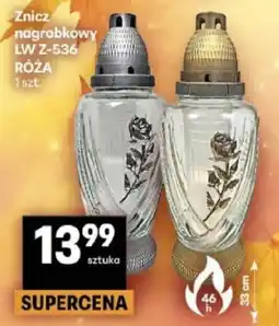 Delikatesy Centrum Znicz nagrobkowy RÓŻA oferta