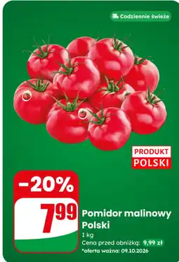 Dino Pomidor malinowy Polski oferta