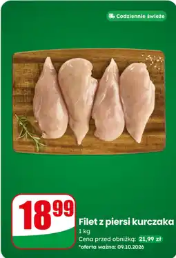 Dino Filet z piersi kurczaka oferta