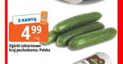 E.Leclerc Ogórki szklarniowe oferta