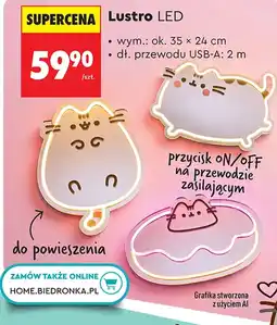 Biedronka Lustro OnLine oferta