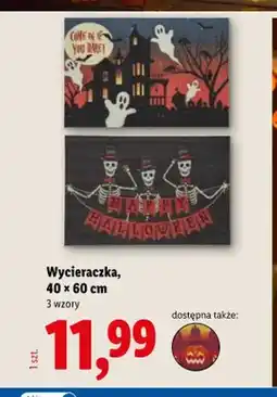 Lidl Wycieraczka 40x60 cm oferta