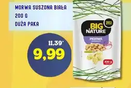 Hale Banacha Morwa suszona Big Nature oferta