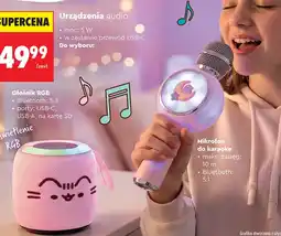 Biedronka Mikrofon oferta