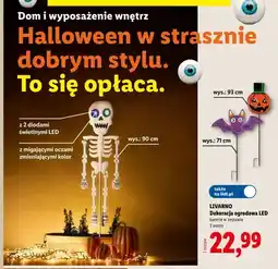 Lidl Dekoracja ogrodowa LED Livarno Szkielet 90 cm oferta