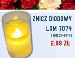 Hale Banacha Znicz oferta
