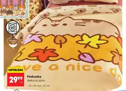Biedronka Poduszka dekoracyjna 40 cm Pusheen oferta