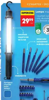 Biedronka Lampa inspekcyjna Niteo oferta