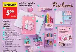 Biedronka Karteczki samoprzylepne Pusheen oferta