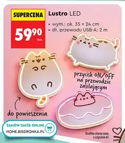 Biedronka Lustro LED oferta