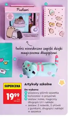 Biedronka Pluszowy piórnik-saszetka Pusheen oferta