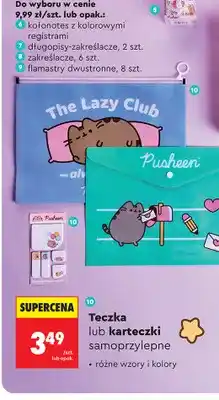 Biedronka Teczka Pusheen oferta