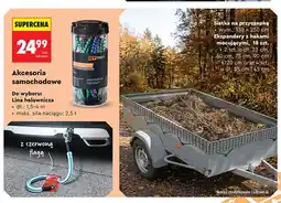 Biedronka Lina holownicza Gt Max oferta