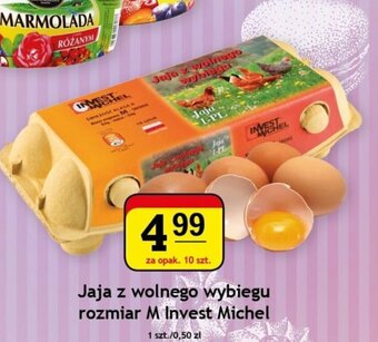Gram Market Jaja z wolnego wybiegu rozmiar M 10 szt. oferta