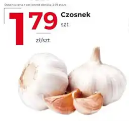 Frac Czosnek oferta
