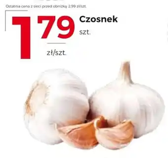 Czosnek