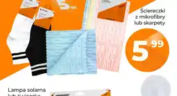 Polomarket Ściereczki z mikrofibry Vergionic 5-pak oferta