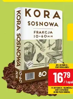 Polomarket Kora sosnowa 10-60 mm oferta