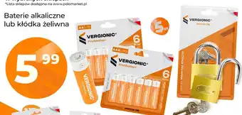Polomarket Baterie alkaliczne Aa Vergionic oferta