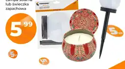 Polomarket Lampa solarna Vergionic kula LED biała 4000K oferta