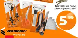 Polomarket Nożyczki uniwersalne 3 sztuki Vergionic oferta