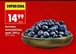 Biedronka Borówka amerykańska opak 300 g oferta