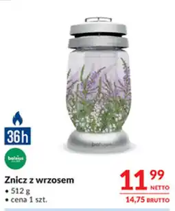 Makro Znicz z wrzosem bolsius oferta
