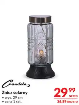 Makro Znicz solarny Candela oferta