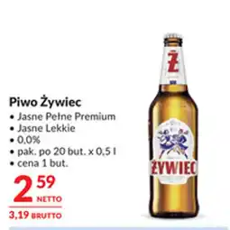Makro Piwo Żywiec oferta