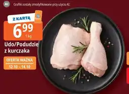 E.Leclerc Udo z kurczaka oferta