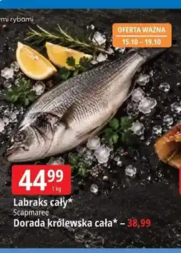 E.Leclerc Dorada królewska cała Scapmaree oferta