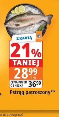 E.Leclerc Pstrąg patroszony oferta