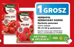 Kaufland Herbata owocowa malina Herbapol Herbaciany Ogród oferta