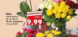 Kaufland Róże oferta
