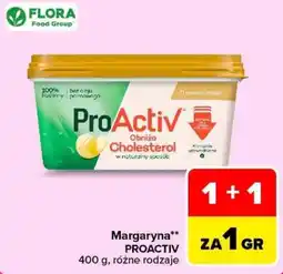 Carrefour Margaryna PROACTIV oferta